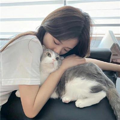 顶楼第二季